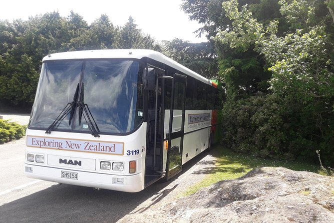 Dunedin Nature & City Tour – Full Day Cruise Excursion - Port Chalmers and the first look at Dunedin