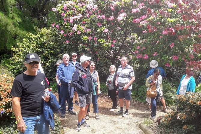 Dunedin Nature & City Tour – Full Day Cruise Excursion - St Clair and St Kilda bring in the sea air