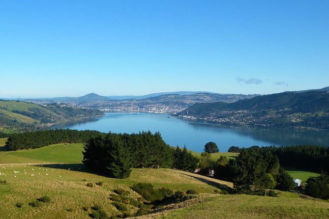 Dunedin Nature & City Tour – Full Day Cruise Excursion - Mount Cargill gives you the big views