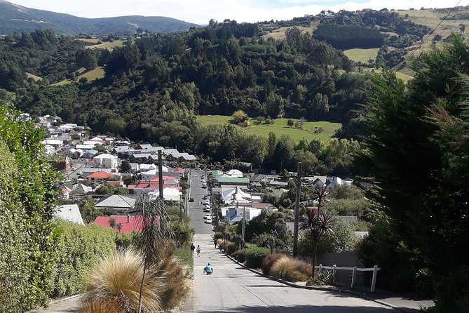 Dunedin Nature & City Tour – Full Day Cruise Excursion - Orokonui and the countryside add a quieter side of Dunedin