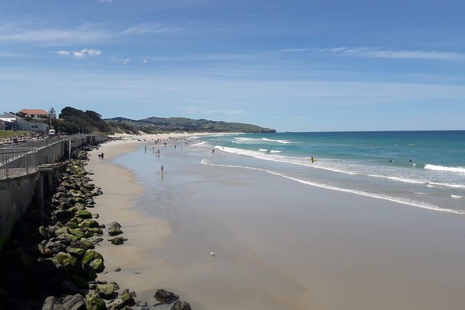 Dunedin Nature & City Tour – Full Day Cruise Excursion - The Octagon gives you Dunedin’s city center