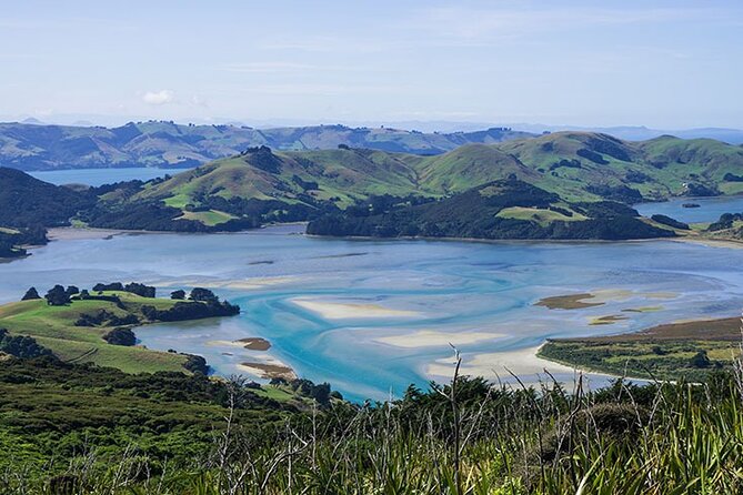 Dunedin Shore Excursion City Sightseeing & Tour of Larnach Castle - The important Larnach Castle and Olveston House mix-up
