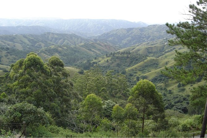 Durban Shore Excursion: Valley of 1000 Hills and PheZulu Tour - PheZulu Cultural Village and a closer look at Zulu traditions
