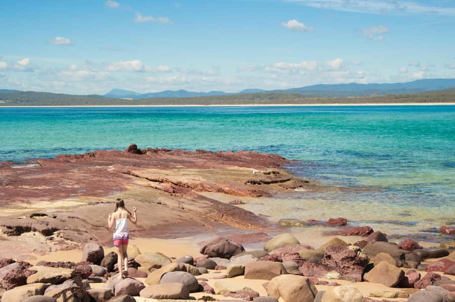 Eden: Sapphire Coast 4 Hour Shore Excursion - What $113 buys you