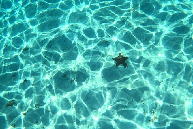 El Cielo and Snorkeling for Cruise Ship Passengers - El Cielo and the famous starfish stop