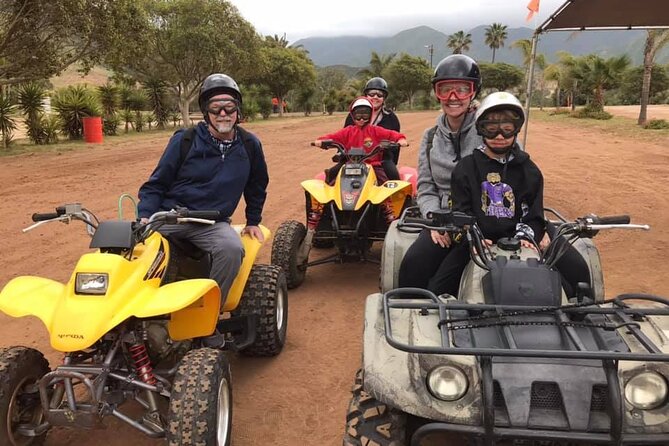 Enesenda Shore Excursion ATV Adventure with Tacos & wine tasting - From the Cruise Port to Campo 9 Near La Bufadora