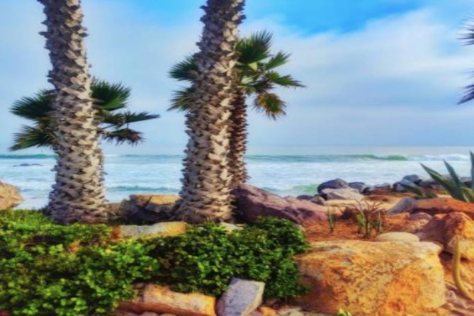 Ensenada Shore Excursion: City Tour & La Bufadora - Who will get the most from this outing