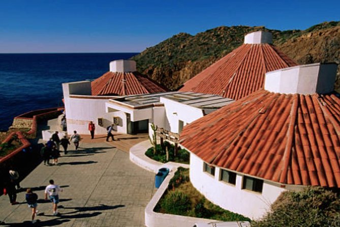 Ensenada Shore Excursion: City Tour & La Bufadora - The 9:30 meeting at the cruise dock