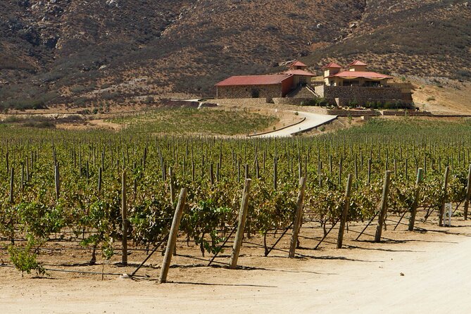 Ensenada Shore Excursion: Entre Santos and El Cielo Winery Tours with Lunch - Lunch is the biggest question mark