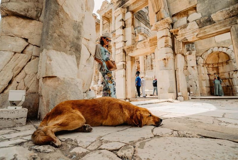 Ephesus Ancient City with Best Guides Only For Cruise Guests - Key points to know before booking