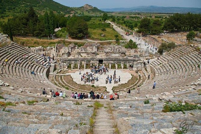 Ephesus Shore Excursion: Private Guide and Vehicle - Private transport and the cruise schedule