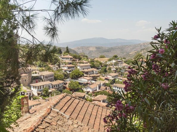 Ephesus Shore Excursion: Private Guide and Vehicle - Entering through Magnesia Gate