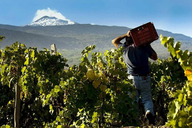 Etna Private tour from Messina Cruise Terminal + Lunch at Winery - From Messina port to the slopes of Etna