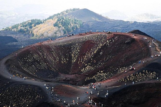 Etna Private tour from Messina Cruise Terminal + Lunch at Winery - What you will not get at the volcano