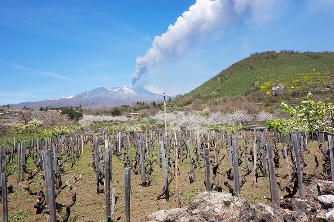 Etna Private tour from Messina Cruise Terminal + Lunch at Winery - The guides make the private format useful