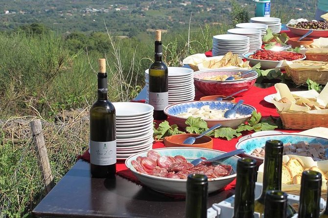 Etna Private tour from Messina Cruise Terminal + Lunch at Winery - Who should book this Etna excursion?