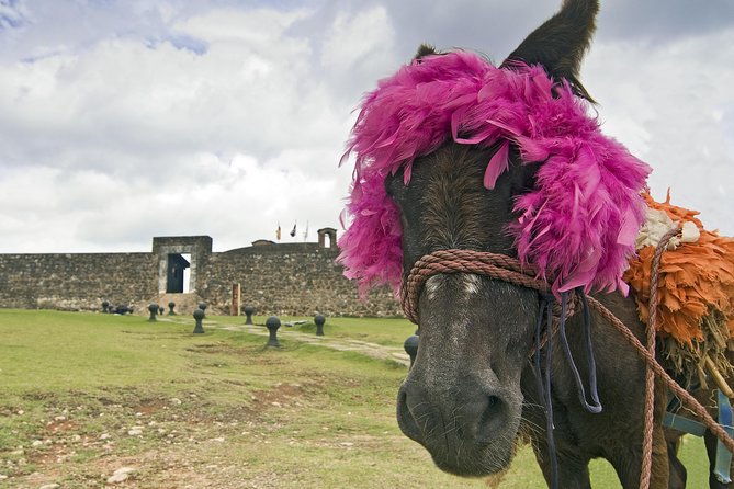 Explore Puerto Plata's Best & Cable Car - Shore Excursion - Puerto Plata’s central park and Victorian streets