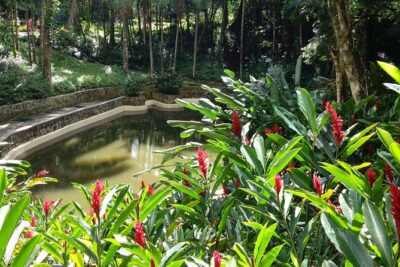 Explore Puerto Plata’s Best & Cable Car – Shore Excursion