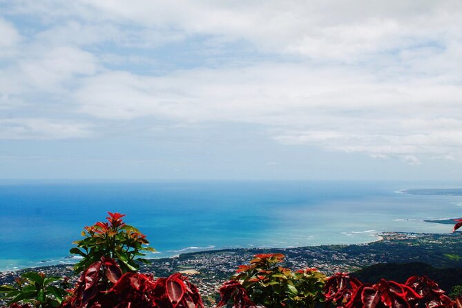 Explore Puerto Plata's Best & Cable Car - Shore Excursion - Guides are a major part of the experience