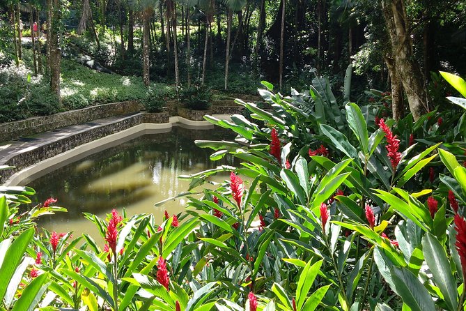 Explore Puerto Plata's Best & Cable Car - Shore Excursion - What happens when the cable car is closed
