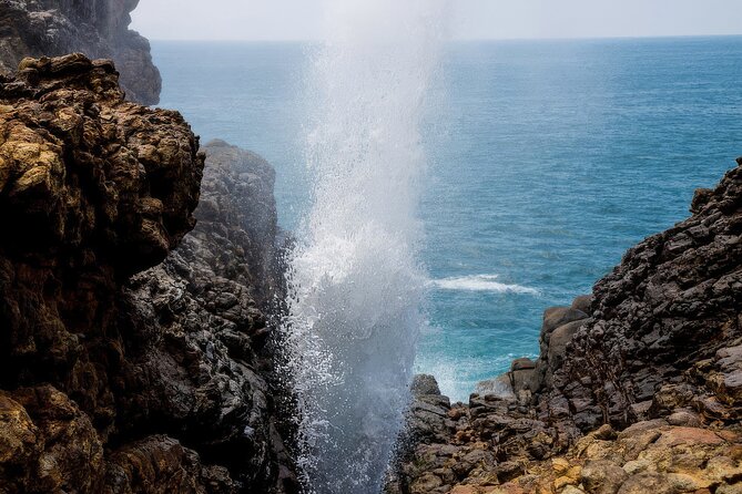 Explore Tangalle's History and Nature Private Shore Excursion - Mulkirigala Rock Temple and its forest setting