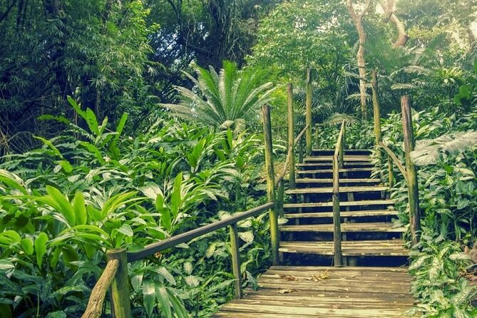 Fiji Lautoka Shore Excursions Tour - What the price means for different types of visitors