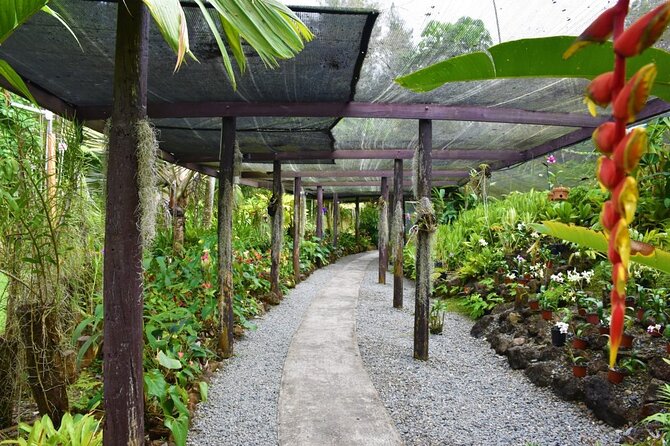 Fiji Lautoka Shore Excursions Tour - Booking details worth checking first