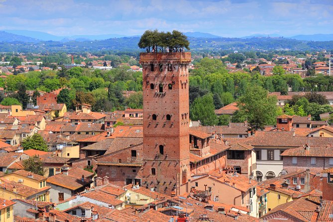 Florence and Lucca Shore Excursion from Livorno Port - Key points before you book