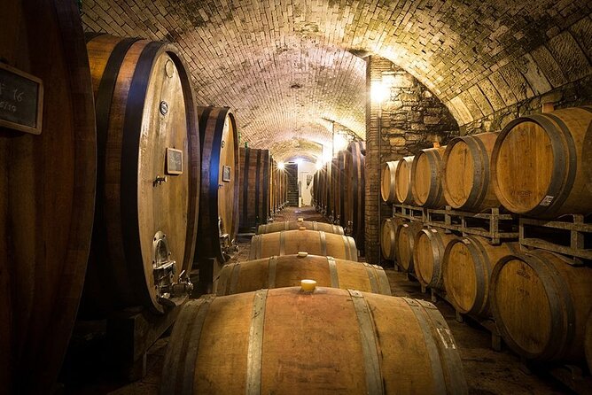 Florence & Pisa Shore Excursion with Chianti Wine Tasting - Private transport and port-day timing