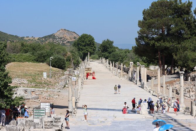 FOR CRUISERS: Highlights of Ephesus Private Tour (GUARANTEED ON-TIME RETURN) - A private guide can change the day