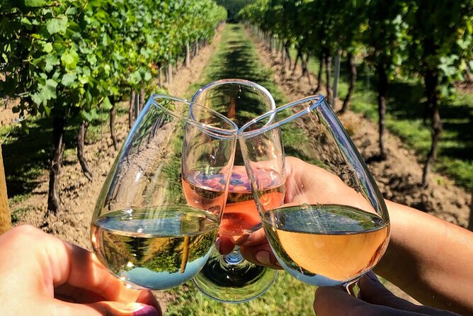 FOR CRUISERS:Kusadasi Port Private Wine Tasting and Ephesus Tour - Key points to know before booking