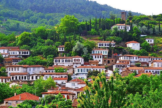 FOR CRUISERS:Kusadasi Port Private Wine Tasting and Ephesus Tour - From ancient stone to Aegean wine