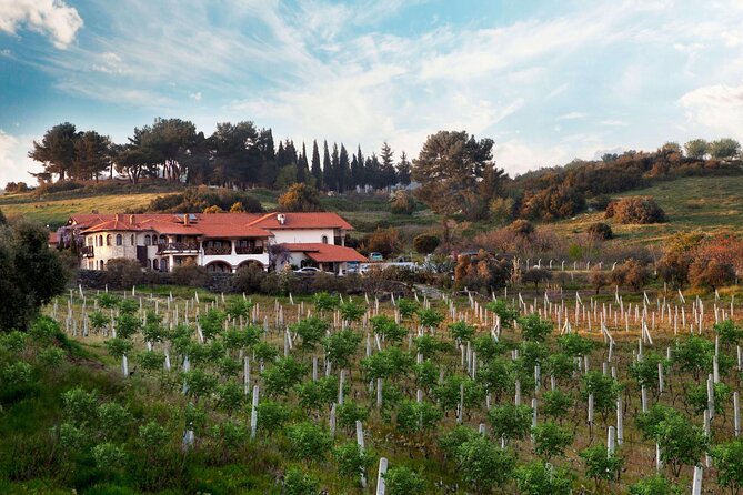 FOR CRUISERS:Kusadasi Port Private Wine Tasting and Ephesus Tour - Transport, timing, and the private advantage