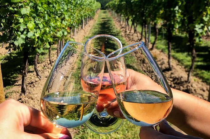 FOR CRUISERS:Kusadasi Port Private Wine Tasting and Ephesus Tour - What the $45 price really covers