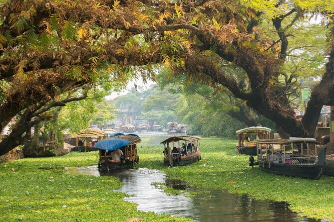 Fort Kochi Tour by Tuk Tuk for Cruise Passengers - Mattancherry Palace and its painted stories