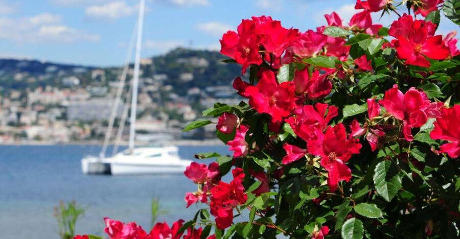 From Cannes:Shore excursion to Grasse,Antibes,St PauldeVence - Saint-Paul-de-Vence brings the art and medieval atmosphere