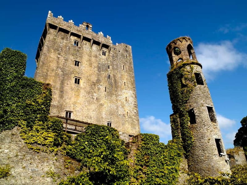 From Cork: Guided Shared Shore Excursion - Cork from the Mercedes van