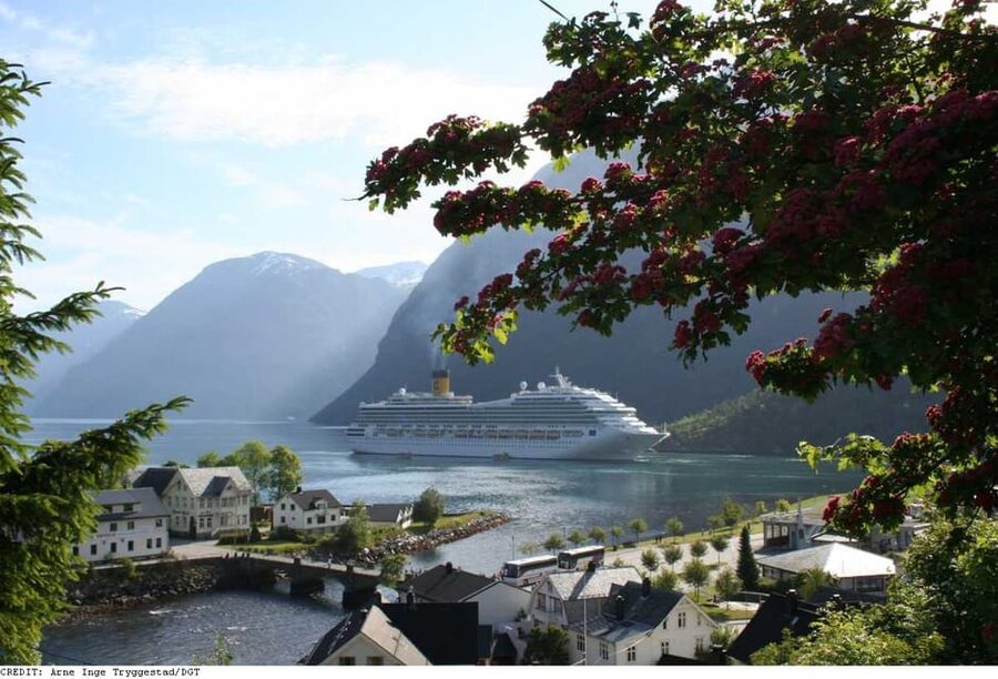 From Hellesylt: The Best of Geiranger Shore Excursion - A full mountain circuit from Hellesylt