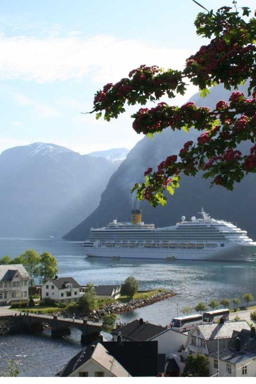 From Hellesylt: The Best of Geiranger Shore Excursion - Stryn brings a useful pause