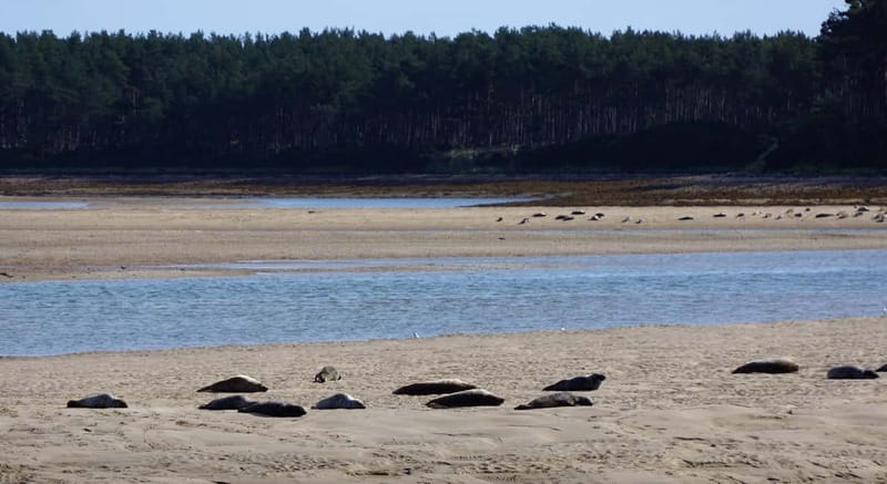 From Invergordon: Private Northern Highlands Shore Excursion - Key points to know