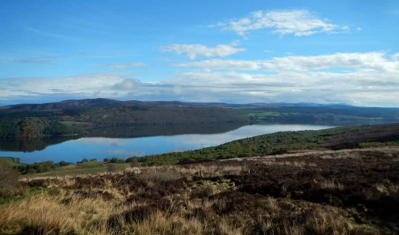 From Invergordon: Private Northern Highlands Shore Excursion - Choosing the whisky stop
