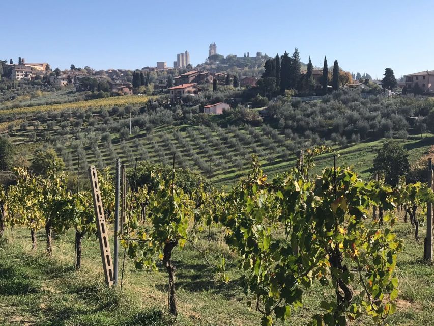 From Livorno: Shore Excursion to Chianti and San Gimignano - Greve and the Flavors of Chianti