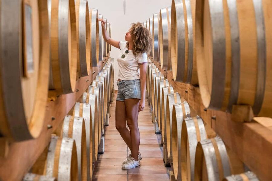 From Marseille Cruise Port : Avignon & Wine Tasting - How the schedule feels in real life