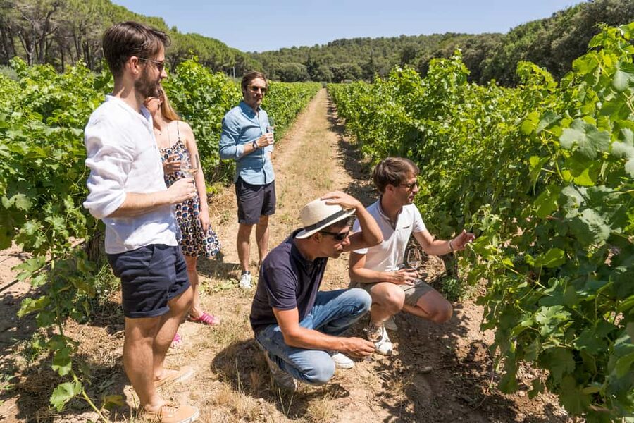 From Marseille Cruise Port : Avignon & Wine Tasting - What to bring and what to leave behind