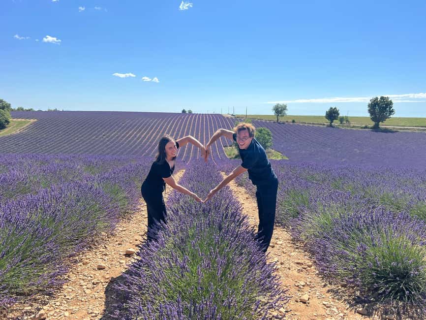 From Marseille: Valensole Lavenders Tour from Cruise Port - Key points to know before booking