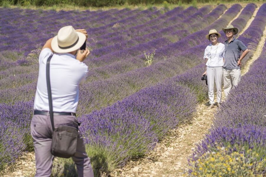 From Marseille: Valensole Lavenders Tour from Cruise Port - Lunch and free time in Valensole village