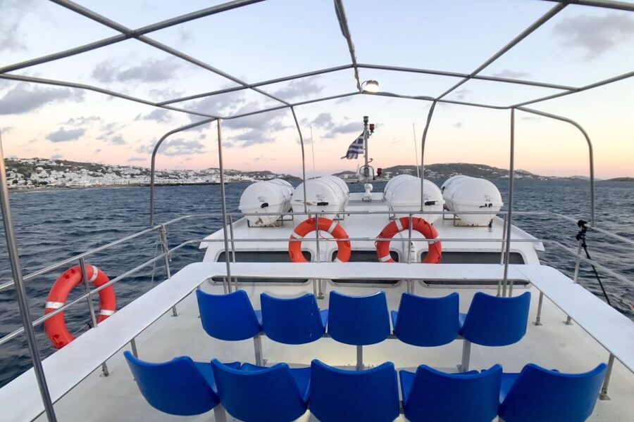 From Mykonos Cruise Port: Delos Guided Tour - Why Delos is worth leaving Mykonos for