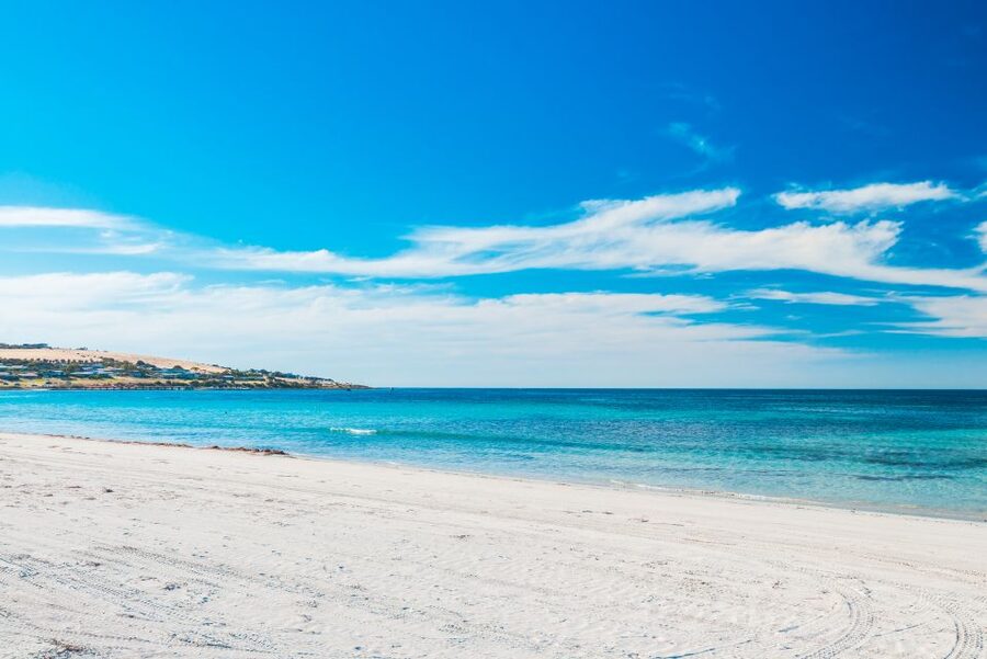 From Penneshaw: Kangaroo Island Shore Excursion Tasting Tour - What the guide adds to a long day