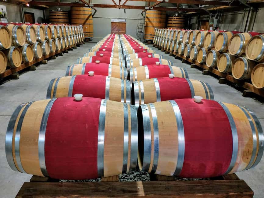 From Picton: Marlborough Wine Shore Excursion - Four or five cellar doors in one port day