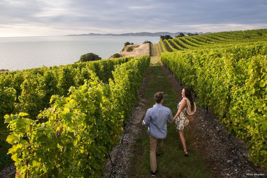 From Picton: Marlborough Wine Trip Shore Excursion - Cruise timing, pickups, and the return to Picton